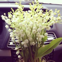 /album/fotogalereya/hvdi0vj7mwu-jpg/