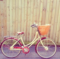 /album/fotogalereya/uxfh2-d07y0-jpg/