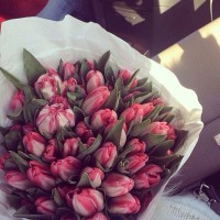 /album/fotogalereya/zowz2jcnqf4-jpg/